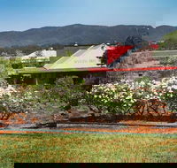 Hanging Tree Wines - Hotel Gold Coast