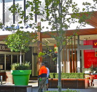 Walrus Japanese - Hotel Gold Coast
