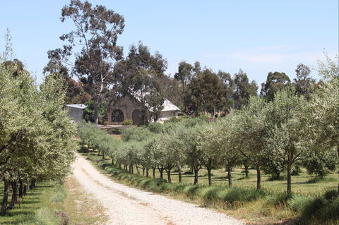 L'Oliveraie Olive Grove - Hotel Gold Coast 0