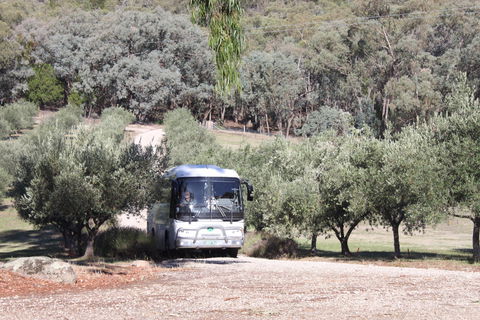 L'Oliveraie Olive Grove - Hotel Gold Coast 2