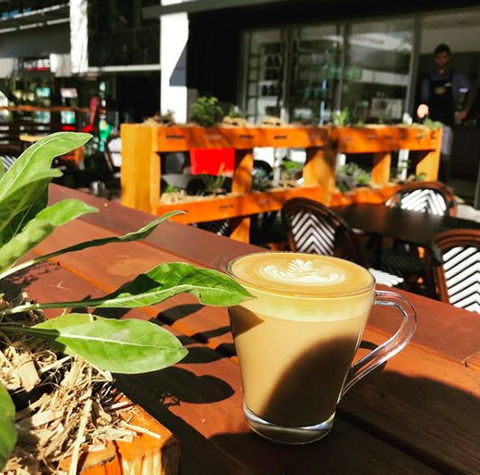 Apothecafe - Hotel Gold Coast 0