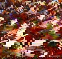 Flamin' Chix - Hotel Gold Coast