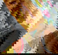 Point Hook Fish'n'Chips - Hotel Gold Coast