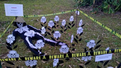 Hillbilly Coffee - Hotel Gold Coast 0