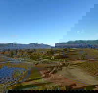 Mistletoe Winery - Hotel Gold Coast