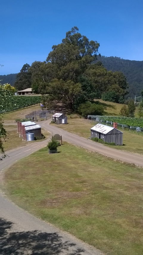 Hartzview Vineyard Cafe - Hotel Gold Coast 2
