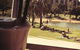 Naim - thumb 1