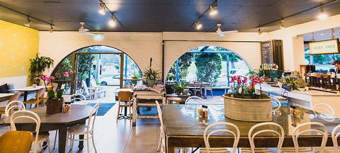 Armchair Collective - Hotel Gold Coast 2