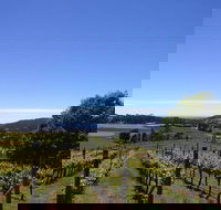Barringwood Vineyard and Cellar Door Restaurant - Hotel Gold Coast
