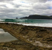 Bruny Island Berry Farm - Hotel Gold Coast