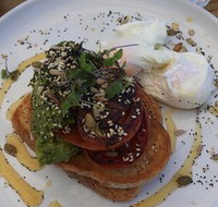 Surfing Lizard Cafe