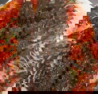 Jannah Charcoal Chicken - Hotel Gold Coast