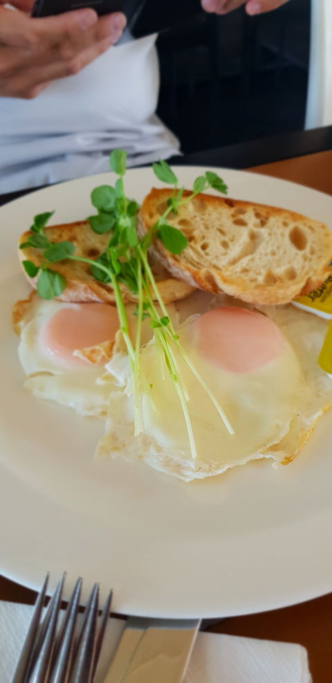 Migaloo's Cafe - Hotel Gold Coast 1
