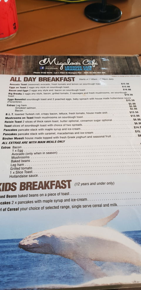 Migaloo's Cafe - Hotel Gold Coast 3