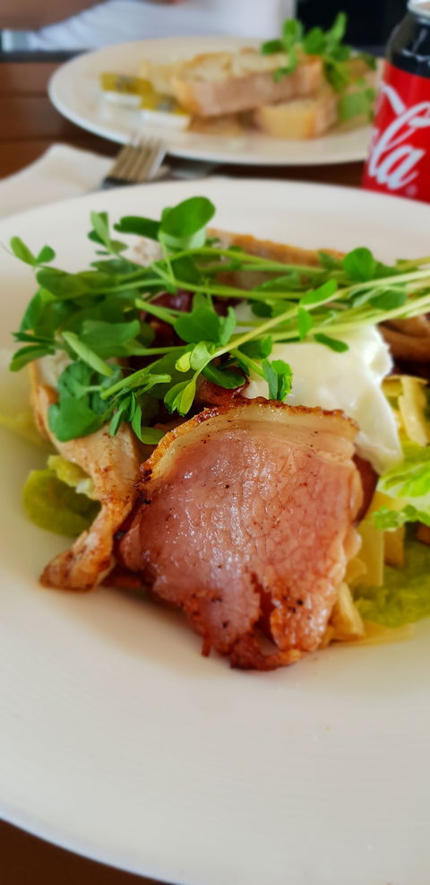 Migaloo's Cafe - Hotel Gold Coast 6
