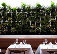 Philippe - Hotel Gold Coast