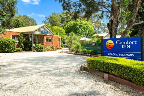 Comfort Inn Coach & Bushmans - Hotel Gold Coast 0