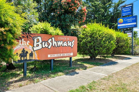 Comfort Inn Coach & Bushmans - Hotel Gold Coast 1