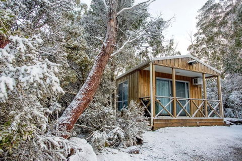 Discovery Parks Cradle Mountain - Hotel Gold Coast 2