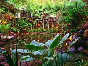 Daintree Eco Lodge & Spa - Hotel Gold Coast 0