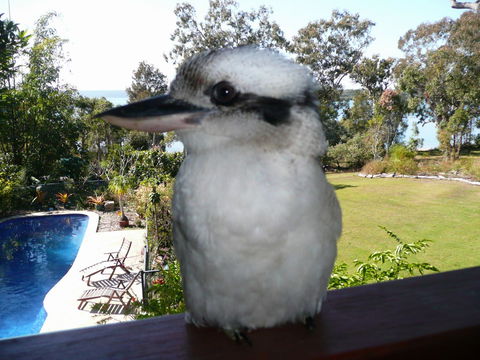Yarrandabbi Dreaming Boutique B&B - Hotel Gold Coast 2
