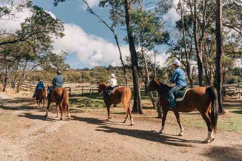 Country Club Tasmania - Hotel Gold Coast 0