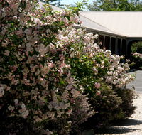 Wine Village Motor Inn - Hotel Gold Coast