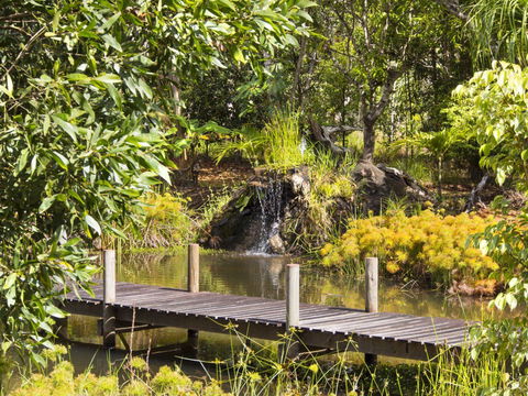 Cedar Park Rainforest Resort - Hotel Gold Coast 0