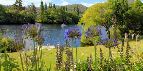 Woodbridge On The Derwent - Hotel Gold Coast 3