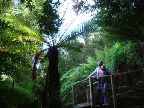 Huon Bush Retreats - Hotel Gold Coast 1