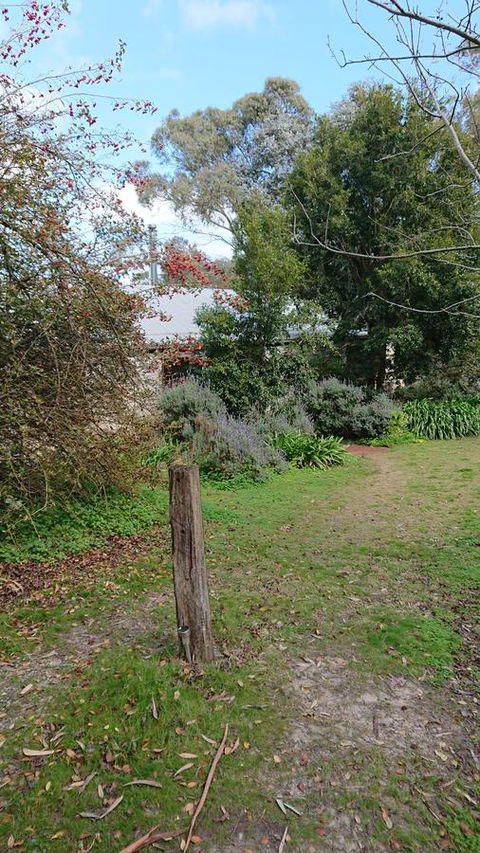 Lost In The Vines - Hotel Gold Coast 21