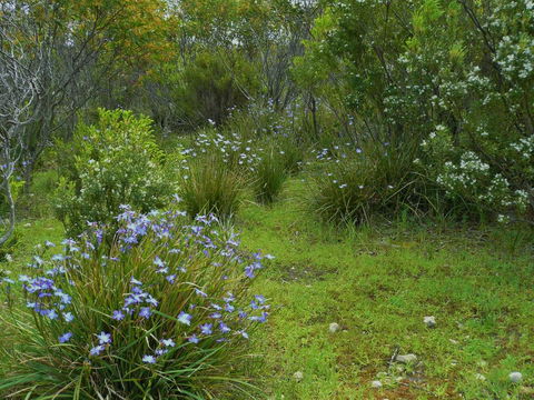 Kestrel Downs - Hotel Gold Coast 32