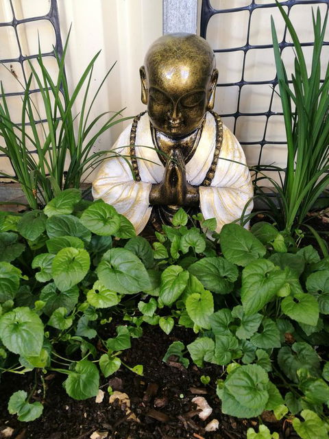 Hilda Anna's - Hotel Gold Coast 44