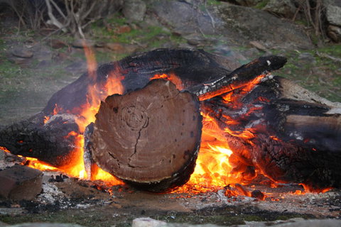 Rabbiters Hut - Hotel Gold Coast 15