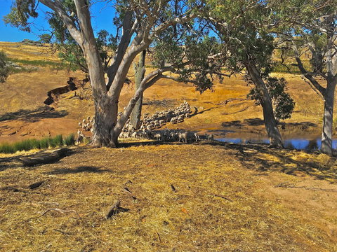 Rabbiters Hut - Hotel Gold Coast 22