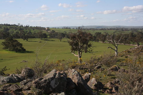 Rabbiters Hut - Hotel Gold Coast 28