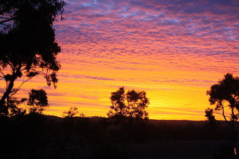 Rabbiters Hut - Hotel Gold Coast 33