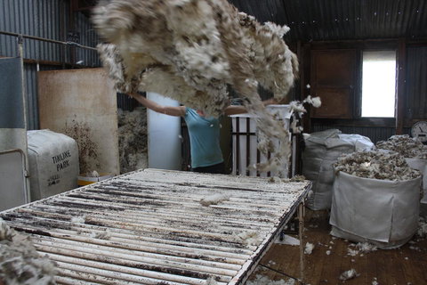 Rabbiters Hut - Hotel Gold Coast 19