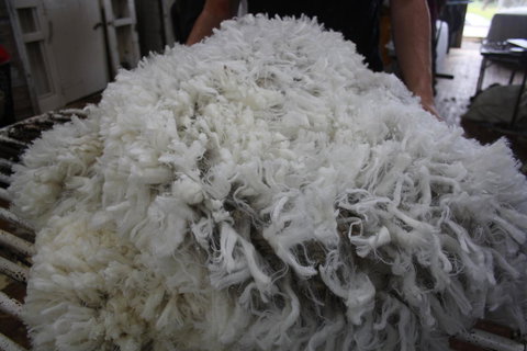 Rabbiters Hut - Hotel Gold Coast 20