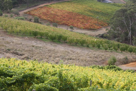 Rabbiters Hut - Hotel Gold Coast 25