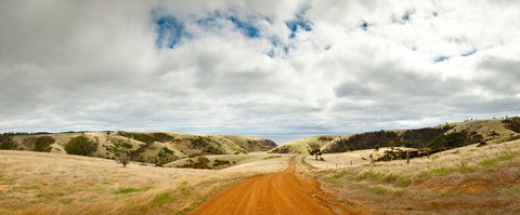 Penneshaw Oceanview Apartments - Hotel Gold Coast 20