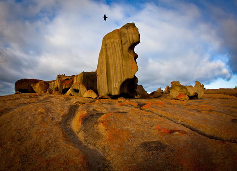 Penneshaw Oceanview Apartments - Hotel Gold Coast 23