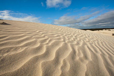 Penneshaw Oceanview Apartments - Hotel Gold Coast 24