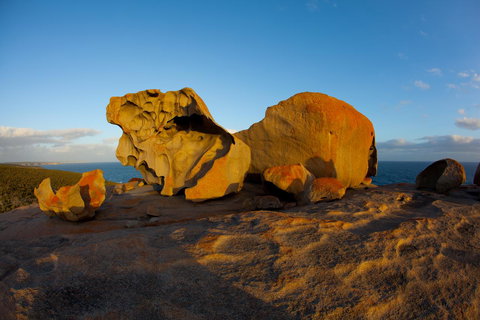 Penneshaw Oceanview Apartments - Hotel Gold Coast 21