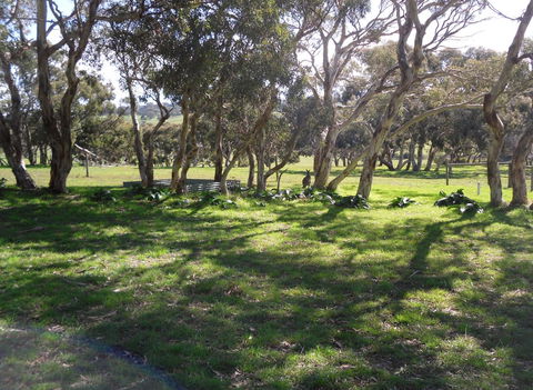 Wenton Farm Holiday Cottages - Hotel Gold Coast 1