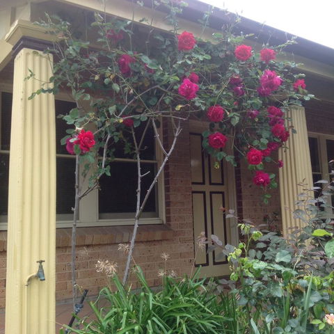 Oats Cottage - Hotel Gold Coast 3