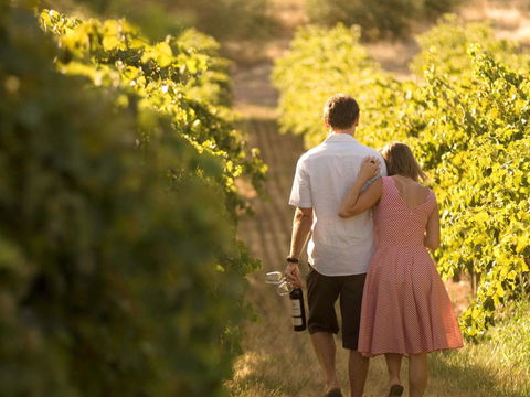 Novotel Barossa Valley Resort - Hotel Gold Coast 40