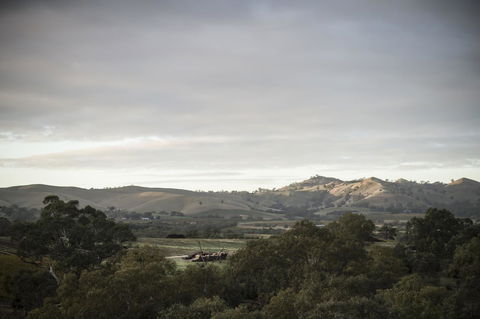 Novotel Barossa Valley Resort - Hotel Gold Coast 23