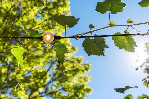 Adelaide Hills Retreats - Hotel Gold Coast 32