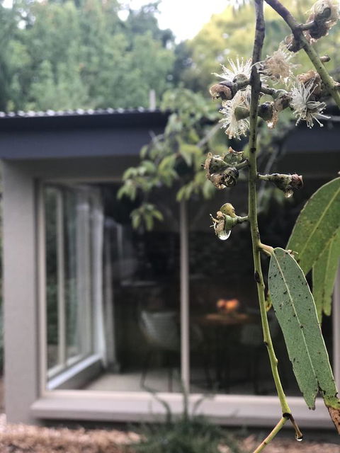 Adelaide Hills Retreats - Hotel Gold Coast 9